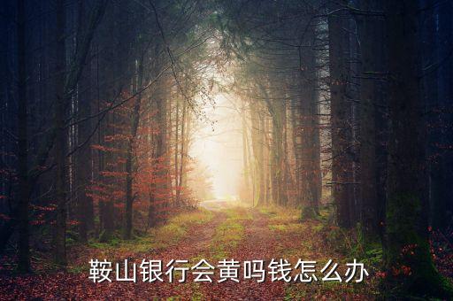  鞍山銀行會(huì)黃嗎錢(qián)怎么辦