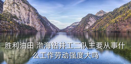 勝利油田 渤海鉆井工二隊(duì)主要從事什么工作勞動強(qiáng)度大嗎
