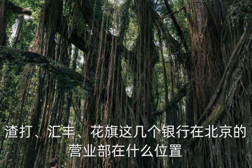 渣打、匯豐、花旗這幾個銀行在北京的營業(yè)部在什么位置