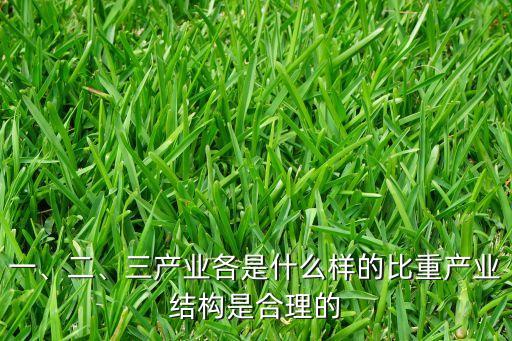 一、二、三產(chǎn)業(yè)各是什么樣的比重產(chǎn)業(yè)結(jié)構(gòu)是合理的