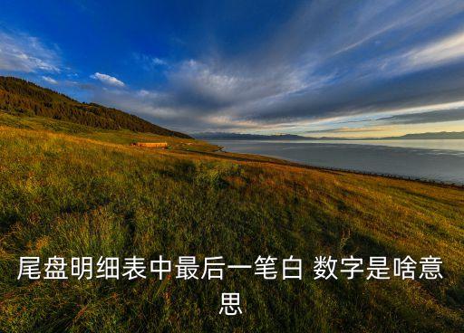 股票成交數(shù)字最后一個,股票逐筆成交藍色數(shù)字
