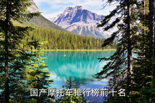 河南隆鑫機(jī)車(chē)有限公司