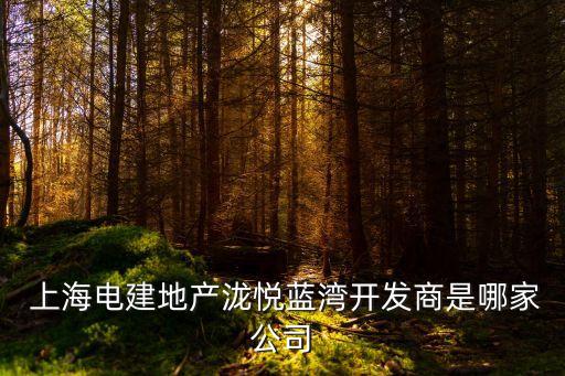  上海電建地產(chǎn)瀧悅藍(lán)灣開(kāi)發(fā)商是哪家公司