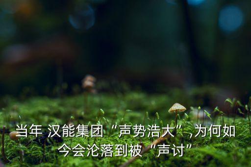 當(dāng)年 漢能集團“聲勢浩大”,為何如今會淪落到被“聲討”
