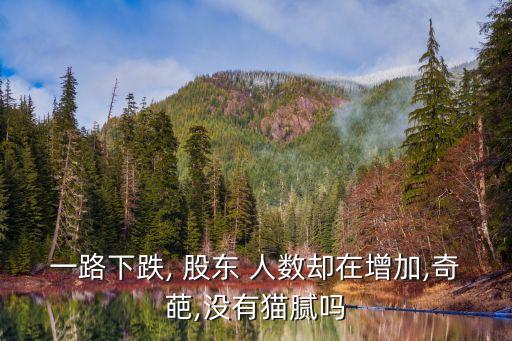 一路下跌, 股東 人數(shù)卻在增加,奇葩,沒有貓膩嗎