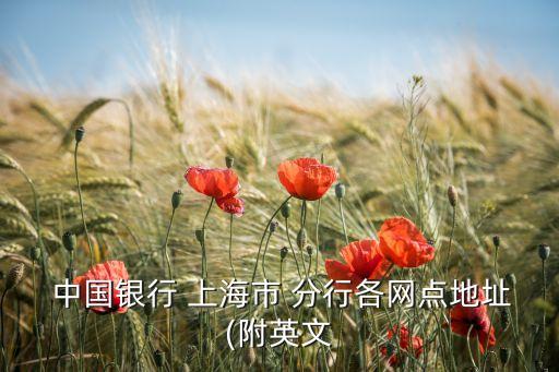  中國銀行 上海市 分行各網(wǎng)點(diǎn)地址(附英文
