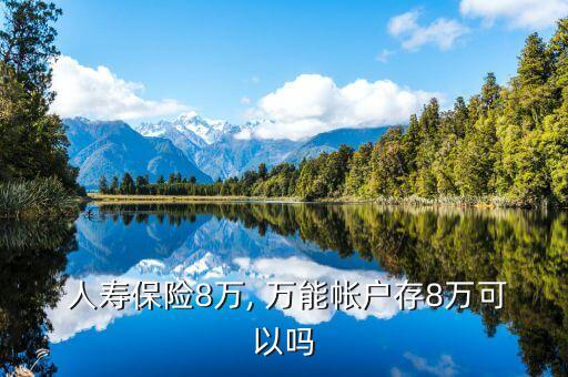 中國(guó)人壽保險(xiǎn)萬(wàn)能賬戶
