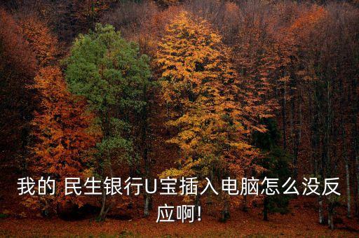 我的 民生銀行U寶插入電腦怎么沒反應啊!