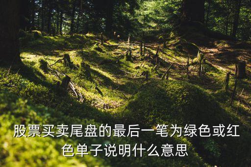  股票買(mǎi)賣尾盤(pán)的最后一筆為綠色或紅色單子說(shuō)明什么意思