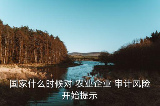 國家什么時候?qū)?農(nóng)業(yè)企業(yè) 審計風險開始提示