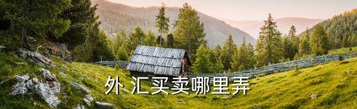 交通銀行的個人結售匯買美元