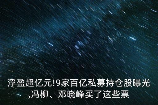 浮盈超億元!9家百億私募持倉股曝光,馮柳、鄧曉峰買了這些票