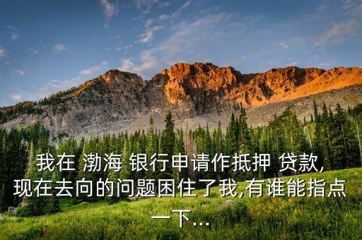 我在 渤海 銀行申請(qǐng)作抵押 貸款,現(xiàn)在去向的問題困住了我,有誰能指點(diǎn)一下...