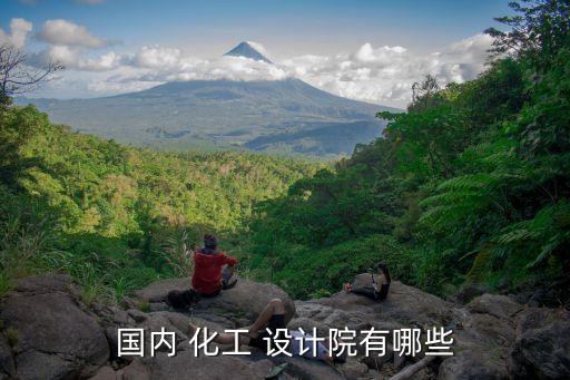 國內 化工 設計院有哪些