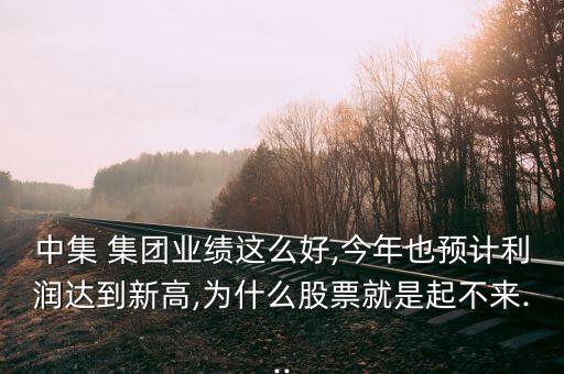 中集 集團(tuán)業(yè)績(jī)這么好,今年也預(yù)計(jì)利潤達(dá)到新高,為什么股票就是起不來...