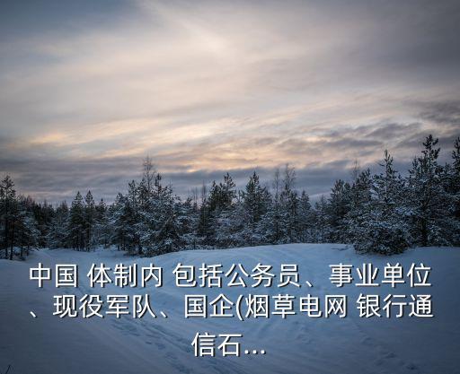 中國(guó) 體制內(nèi) 包括公務(wù)員、事業(yè)單位、現(xiàn)役軍隊(duì)、國(guó)企(煙草電網(wǎng) 銀行通信石...