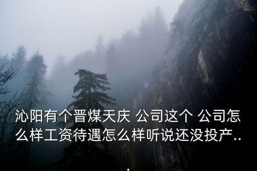 沁陽(yáng)有個(gè)晉煤天慶 公司這個(gè) 公司怎么樣工資待遇怎么樣聽說還沒投產(chǎn)...