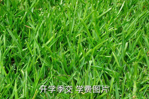 銀行繳學(xué)費熱潮,手機(jī)銀行繳學(xué)費流程