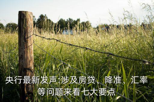 央行最新發(fā)聲:涉及房貸、降準(zhǔn)、匯率等問題來看七大要點(diǎn)