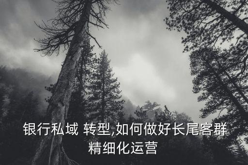  銀行私域 轉(zhuǎn)型,如何做好長尾客群精細(xì)化運(yùn)營