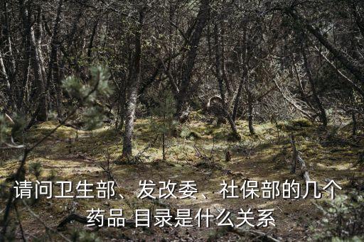 請問衛(wèi)生部、發(fā)改委、社保部的幾個 藥品 目錄是什么關(guān)系