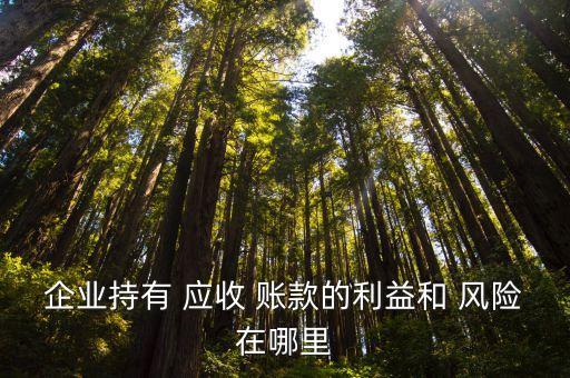 企業(yè)持有 應收 賬款的利益和 風險在哪里