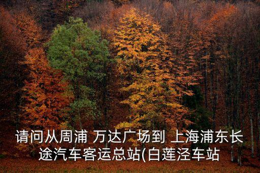 請問從周浦 萬達(dá)廣場到 上海浦東長途汽車客運(yùn)總站(白蓮涇車站