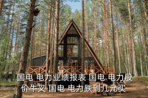  國(guó)電 電力業(yè)績(jī)報(bào)表 國(guó)電 電力股價(jià)牛叉 國(guó)電 電力跌到幾元買(mǎi)