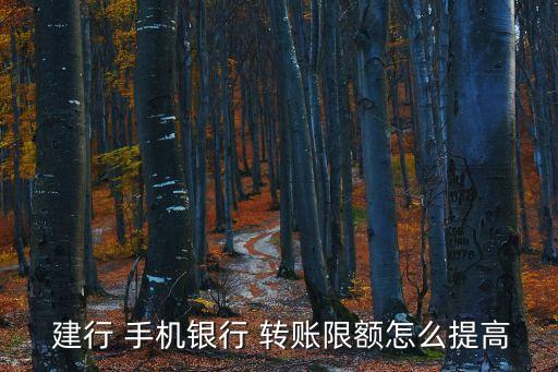  建行 手機銀行 轉賬限額怎么提高