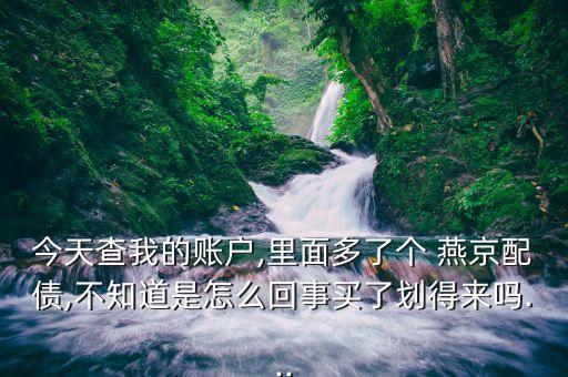 今天查我的賬戶(hù),里面多了個(gè) 燕京配債,不知道是怎么回事買(mǎi)了劃得來(lái)嗎...