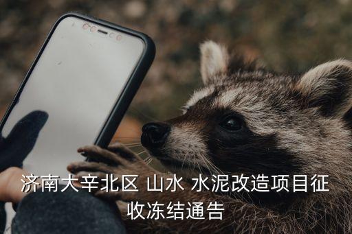 濟南大辛北區(qū) 山水 水泥改造項目征收凍結通告