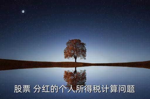 股票 分紅的個人所得稅計(jì)算問題