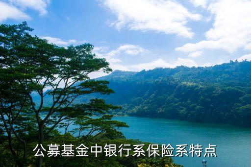 公募基金中銀行系保險系特點(diǎn)