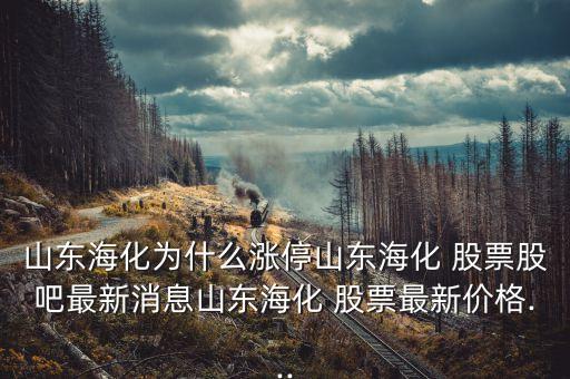 豐?？萍脊善惫蓛r(jià)