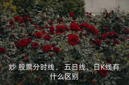 炒 股票分時線、 五日線、日K線有什么區(qū)別