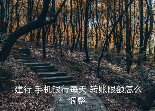 建行手機銀行轉賬金額設置