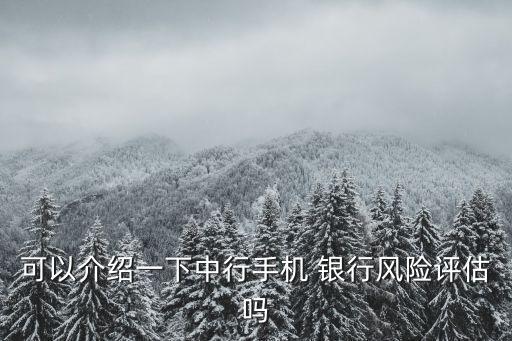 可以介紹一下中行手機(jī) 銀行風(fēng)險(xiǎn)評估嗎