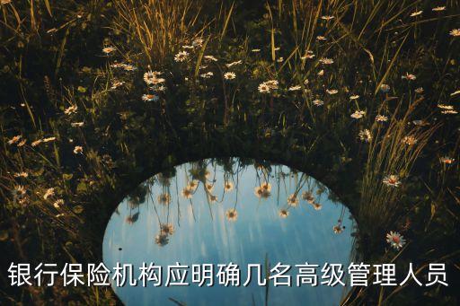 銀行保險機(jī)構(gòu)應(yīng)明確幾名高級管理人員
