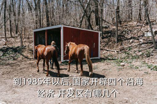 到1985年以后,國家開辟四個沿海經(jīng)濟(jì) 開發(fā)區(qū)有哪幾個