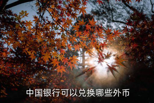  中國(guó)銀行可以?xún)稉Q哪些外幣
