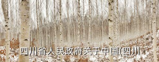 四川省人民政府關于中國(四川
