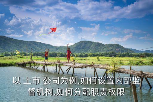 以 上市 公司為例,如何設置內(nèi)部監(jiān)督機構(gòu),如何分配職責權(quán)限