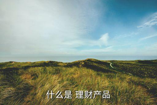 什么是 理財產品