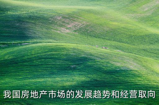 我國房地產(chǎn)市場(chǎng)的發(fā)展趨勢(shì)和經(jīng)營(yíng)取向