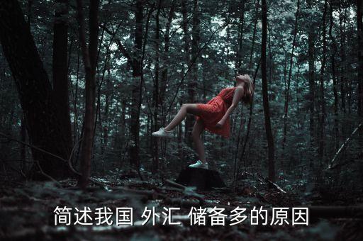 簡述我國 外匯 儲(chǔ)備多的原因