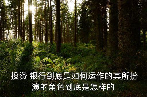 中國投資銀行發(fā)展模式,投資銀行的監(jiān)管模式