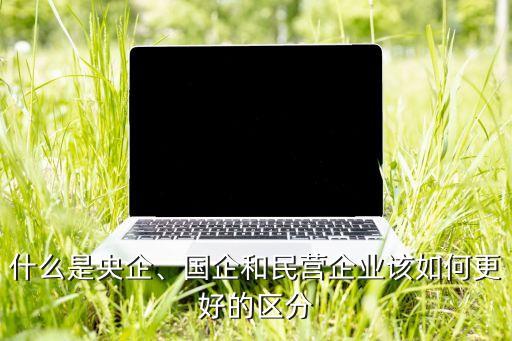 什么是央企、國企和民營企業(yè)該如何更好的區(qū)分