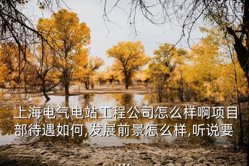  上海電氣電站工程公司怎么樣啊項(xiàng)目部待遇如何,發(fā)展前景怎么樣,聽說(shuō)要...