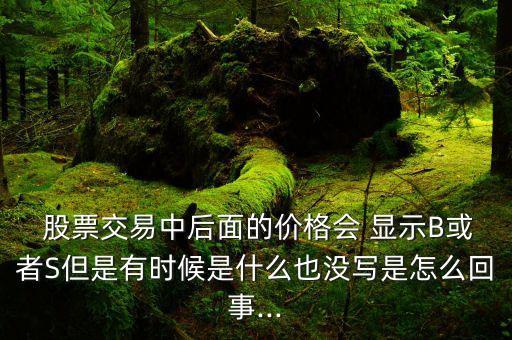 股票交易中后面的價(jià)格會(huì) 顯示B或者S但是有時(shí)候是什么也沒(méi)寫(xiě)是怎么回事...