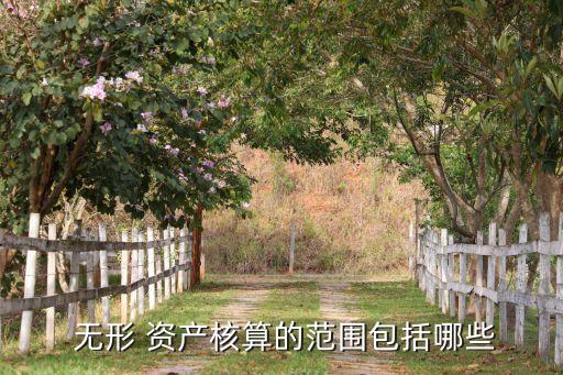 銀行無形資產(chǎn)是指什么,聲譽(yù)風(fēng)險影響銀行的無形資產(chǎn)嗎